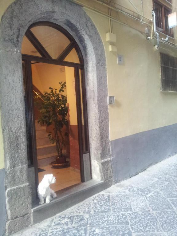 Dei Gerolomini Otel Napoli Dış mekan fotoğraf